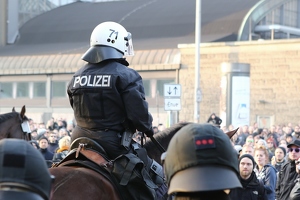 AfD Kundgebung in Hamburg